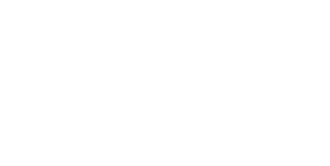 Forion Logo White